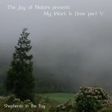 My Work Is Done, Part V: Shepherds in the Fog