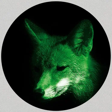 It’s Time for New Stuff EP by Greenbank - album cover