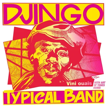 Vini Ouais by Djingo Typical Band - album cover
