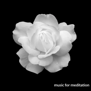 Music for Meditation by Various Artists - album cover