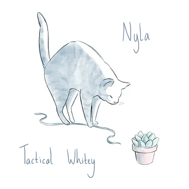 Tactical Whitey by Nyla - album cover
