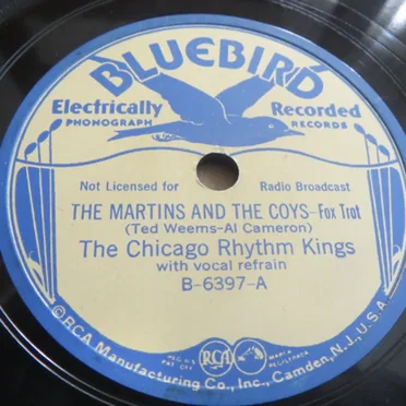 The Martins and the Coys / Sarah Jane