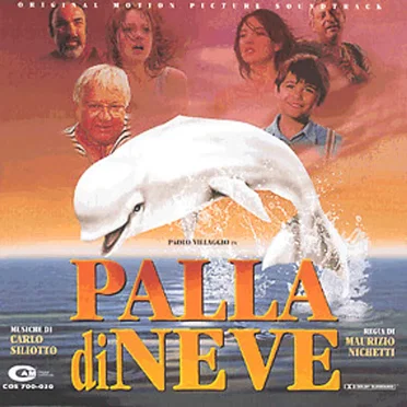 Palla di neve