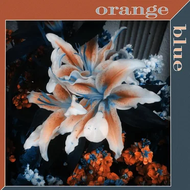 orange/blue