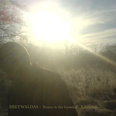 Bones in the Ground by Bretwaldas of Heathen Doom - album cover
