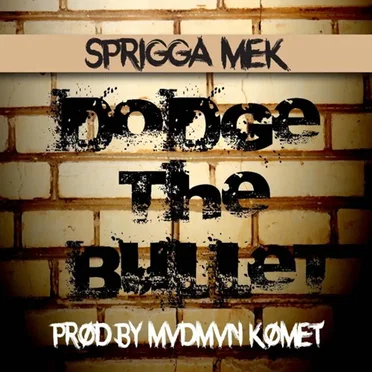 Dodge the Bullet