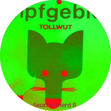 Tollwut (Seuchenherd B) by Impfgebiet - album cover