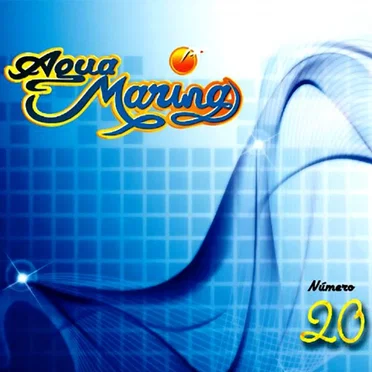 Vol. 20: Número 20