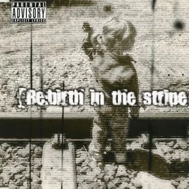【Re:birth in the stripe】
