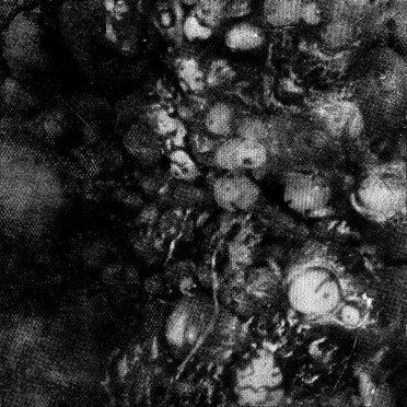 Visceral Exhaust by Asmodexia - album cover