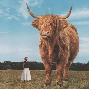 Grab The Bull