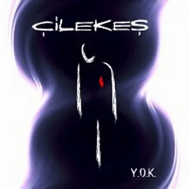 Y.O.K. by Çilekeş - album cover