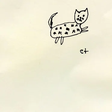 starry cat by starry cat - album cover