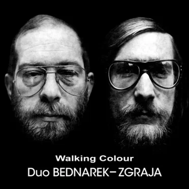 Walking Colour by Duo Bednarek-Zgraja - album cover