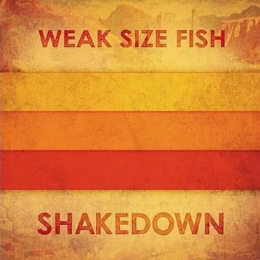 Shakedown