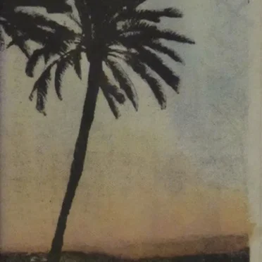 The Palm Leaves of Victory