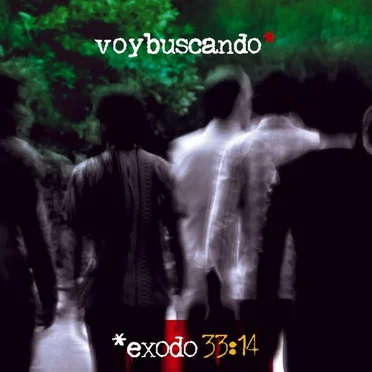 Voy buscando