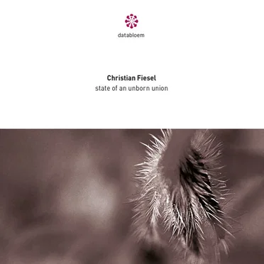 State of an unborn union