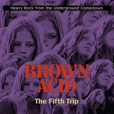 Brown Acid: The Fifth Trip by Various Artists - album cover