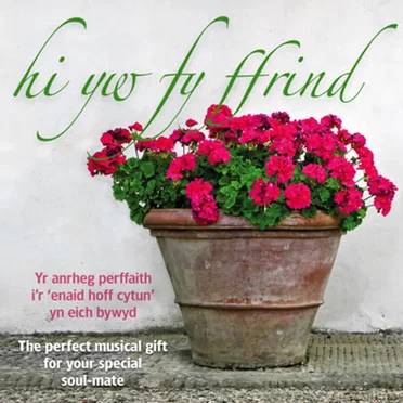 Hi Yw Fy Ffrind by Various Artists - album cover