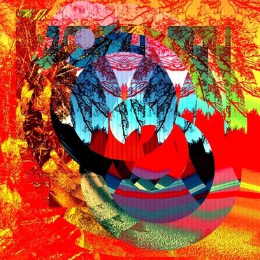 Lost Among the Trees