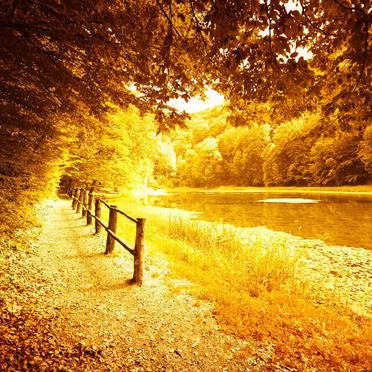 The Road Less Traveled