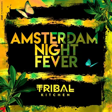 Amsterdam Night Fever by Various Artists - album cover