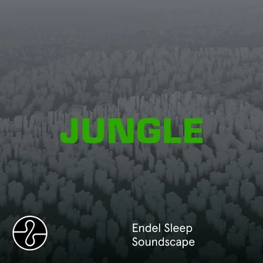 Jungle (Sleep Soundscape)