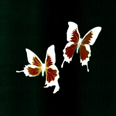 Tear Remixes by Korine - album cover
