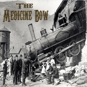 Driven to Everything but Success by The Medicine Bow - album cover