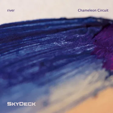 Chameleon Circuit by r i v e r - album cover