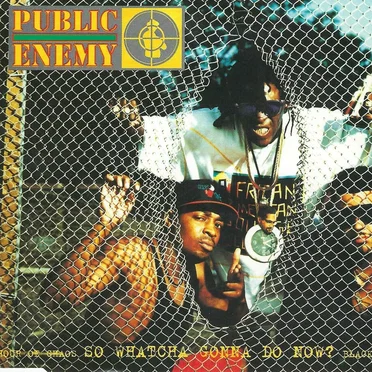 So Whatcha Gonna Do Now?