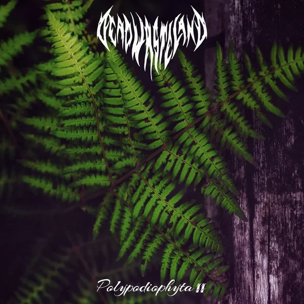 Polypodiophyta II