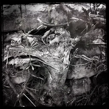 Streams of Consciousness Compiled