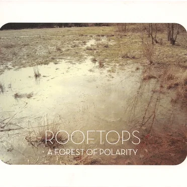 A Forest of Polarity by Rooftops - album cover