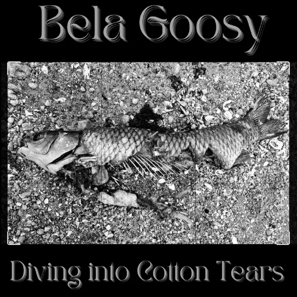 Diving Into Cotton Tears