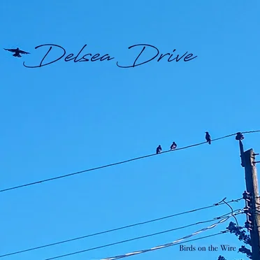 Birds on the Wire