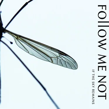 If the sky remains by Follow Me Not - album cover