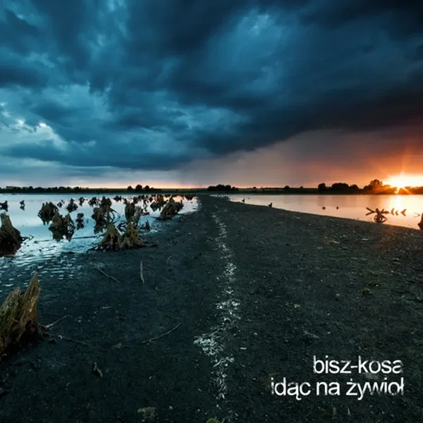 Idąc na żywioł