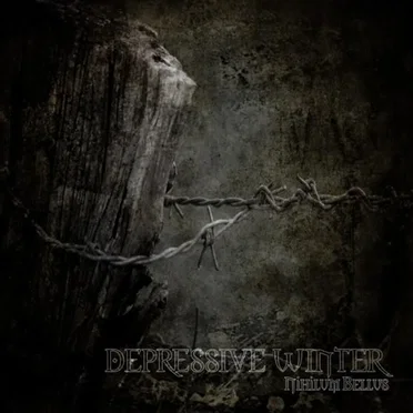 Nihilum Bellus by Depressive Winter - album cover