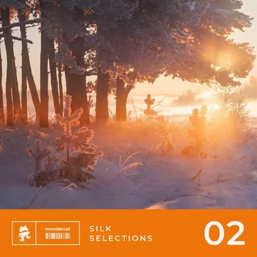 Silk Selections 02 by Various Artists - album cover