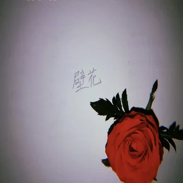 壁花