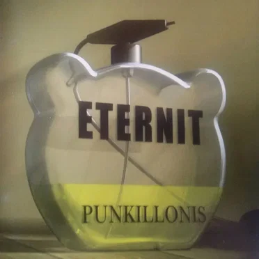 Eternit by Punkillonis - album cover