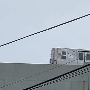 loss