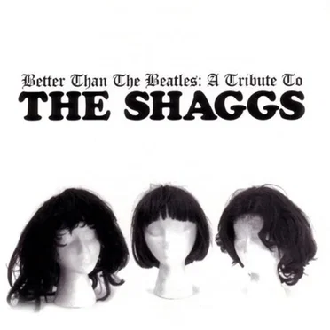 Better Than the Beatles by Various Artists - album cover