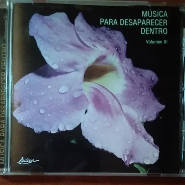 Música para desaparecer dentro, volumen III by Various Artists - album cover
