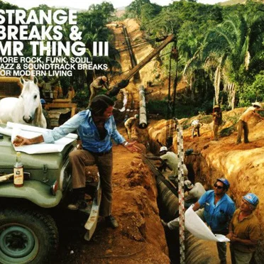 Strange Breaks & Mr Thing III by Various Artists - album cover