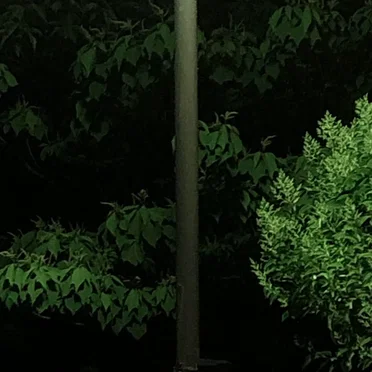 Slight Light Night
