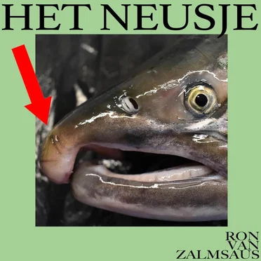 Het Neusje by Ron van Zalmsaus - album cover