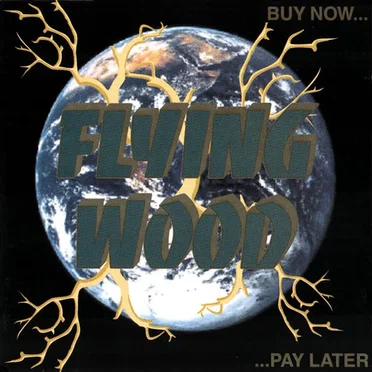 Buy Now Pay Later